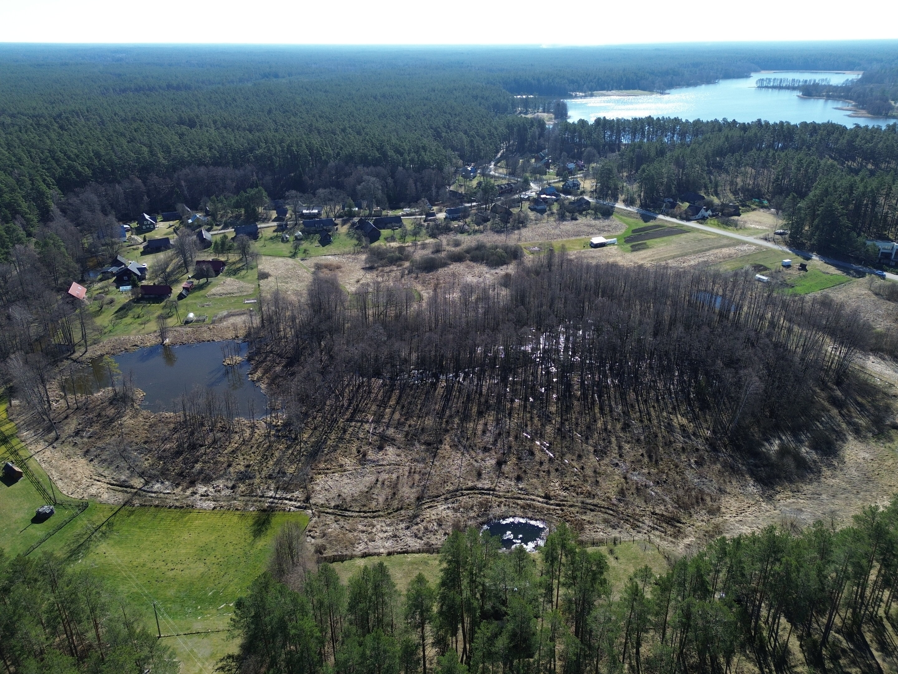 Sklypas Druskininkų sav., Latežeryje – nuotrauka 5