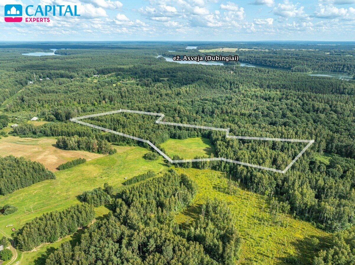Sklypas Molėtų rajono sav., Gramiškiuose – nuotrauka 5