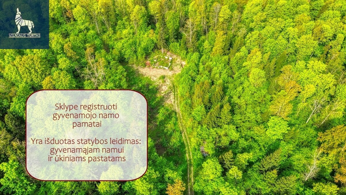 Sklypas Vilniaus rajono sav., Čekoniškėse – nuotrauka 3
