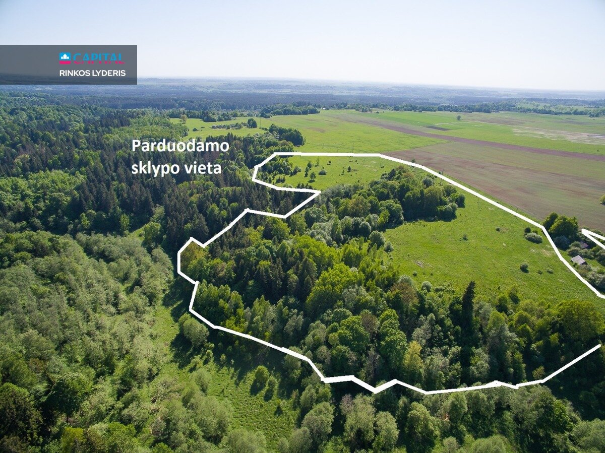 Sklypas Širvintų rajono sav., Janionyse – nuotrauka 5