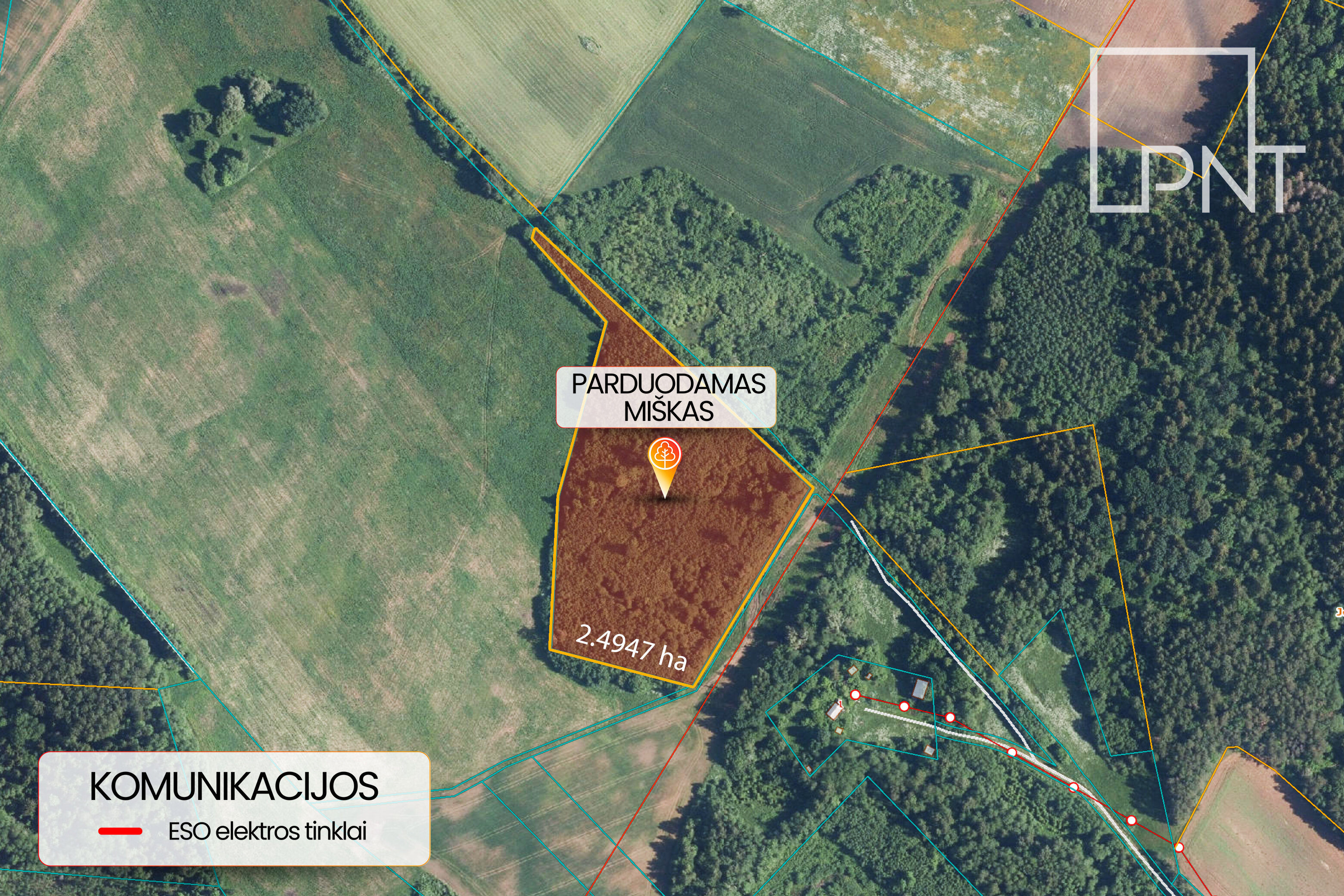 Sklypas Rokiškio rajono sav., Sėdžiūnuose – nuotrauka 4