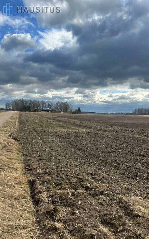 Land Panevėžio rajono sav., Stetiškiuose – image 1