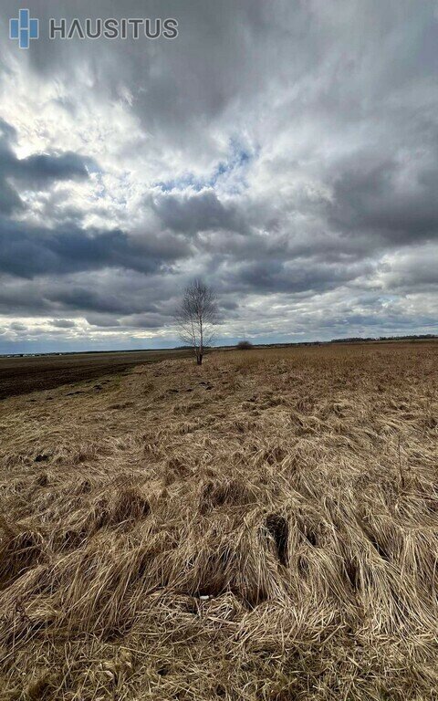 Land Panevėžio rajono sav., Stetiškiuose – image 3