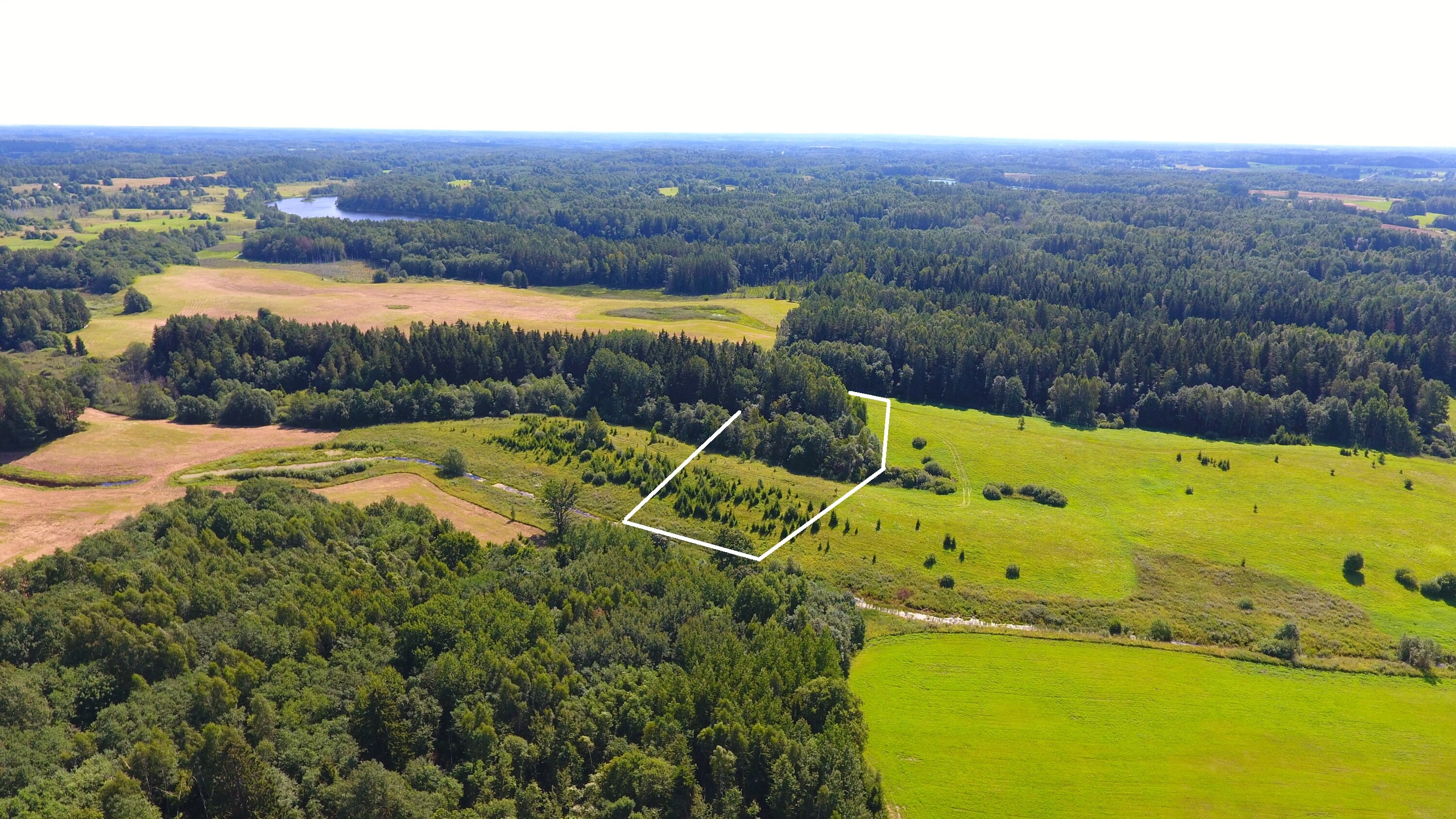Sklypas Zarasų rajono sav., Gaspariškėse – nuotrauka 5