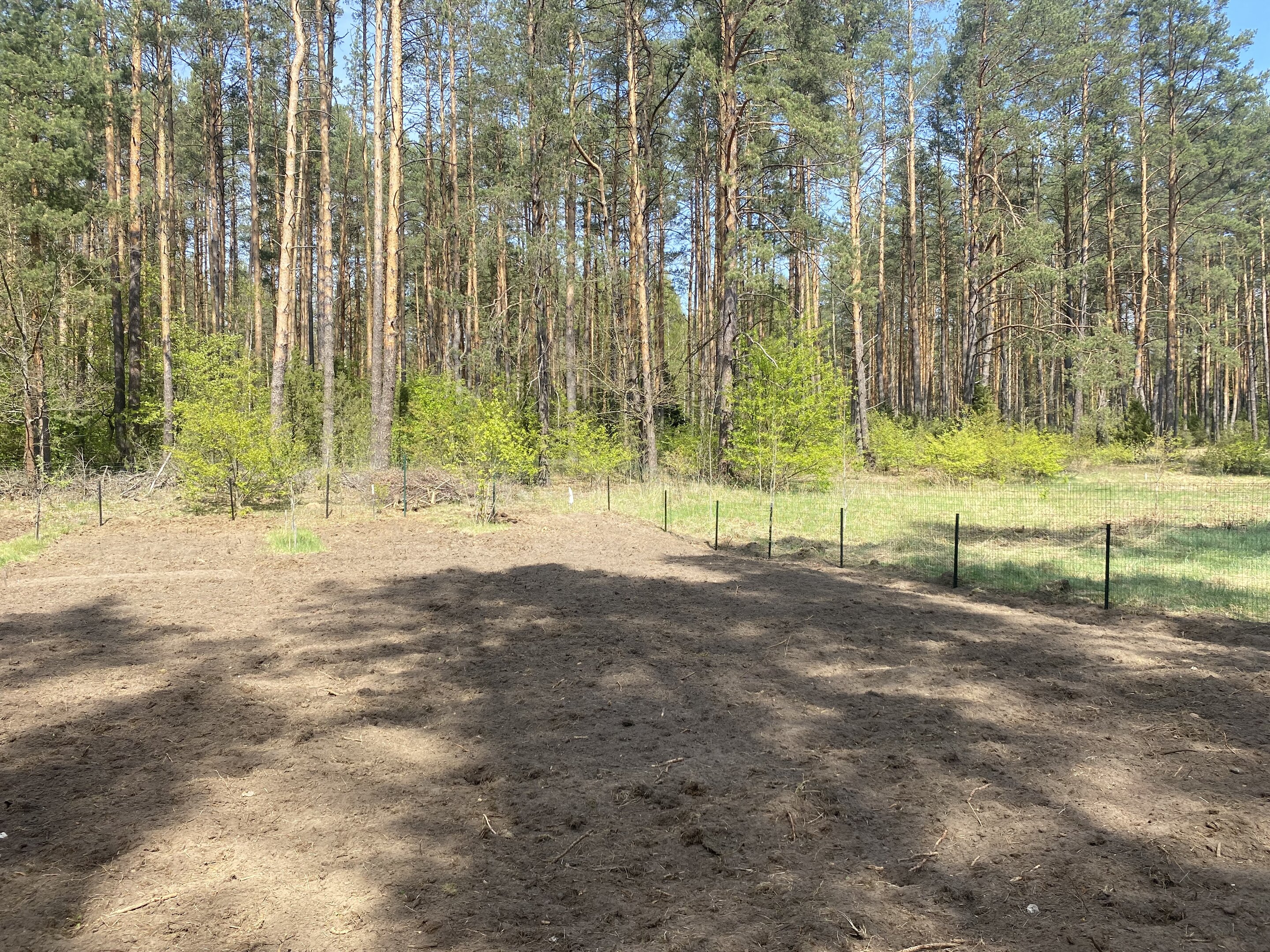 Sklypas Druskininkų sav., Naujasodėje – nuotrauka 3