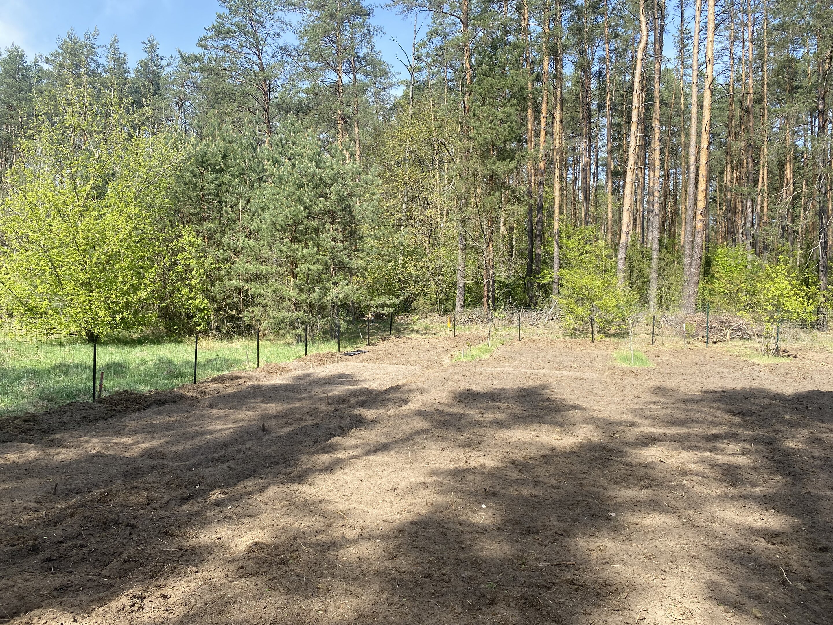 Sklypas Druskininkų sav., Naujasodėje – nuotrauka 4