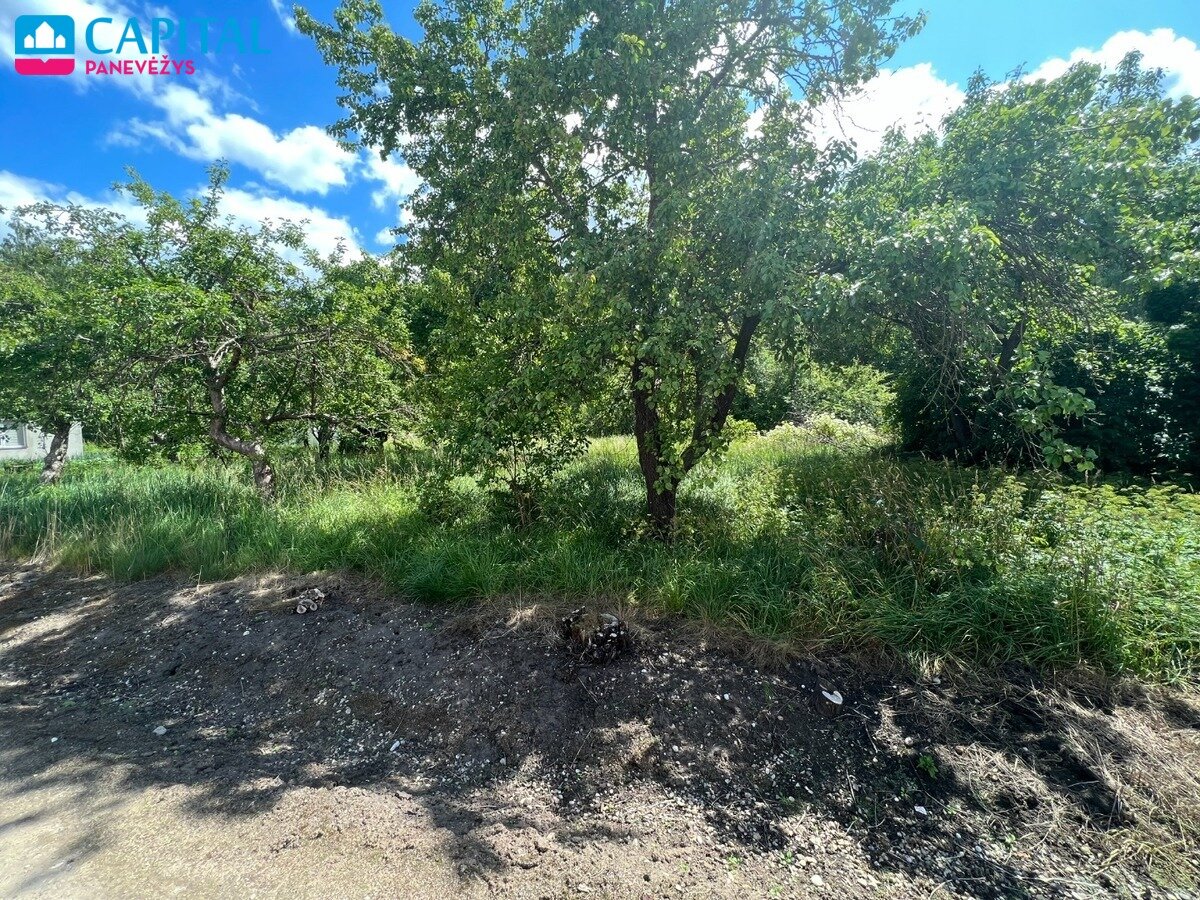 Sklypas Panevėžio rajono sav., Plukiuose, Bitininkų g. – nuotrauka 3