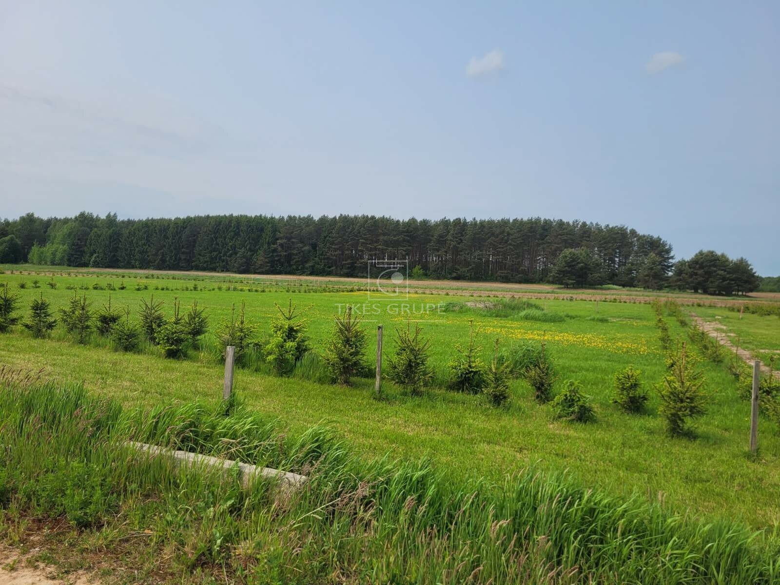 Участок Klaipėdos rajono sav., Rokuose, Vėžių g. – изображение 5