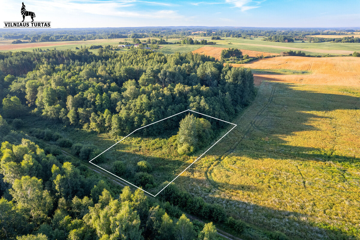 Sklypas Vilniaus rajono sav., Rudokuose – nuotrauka 6
