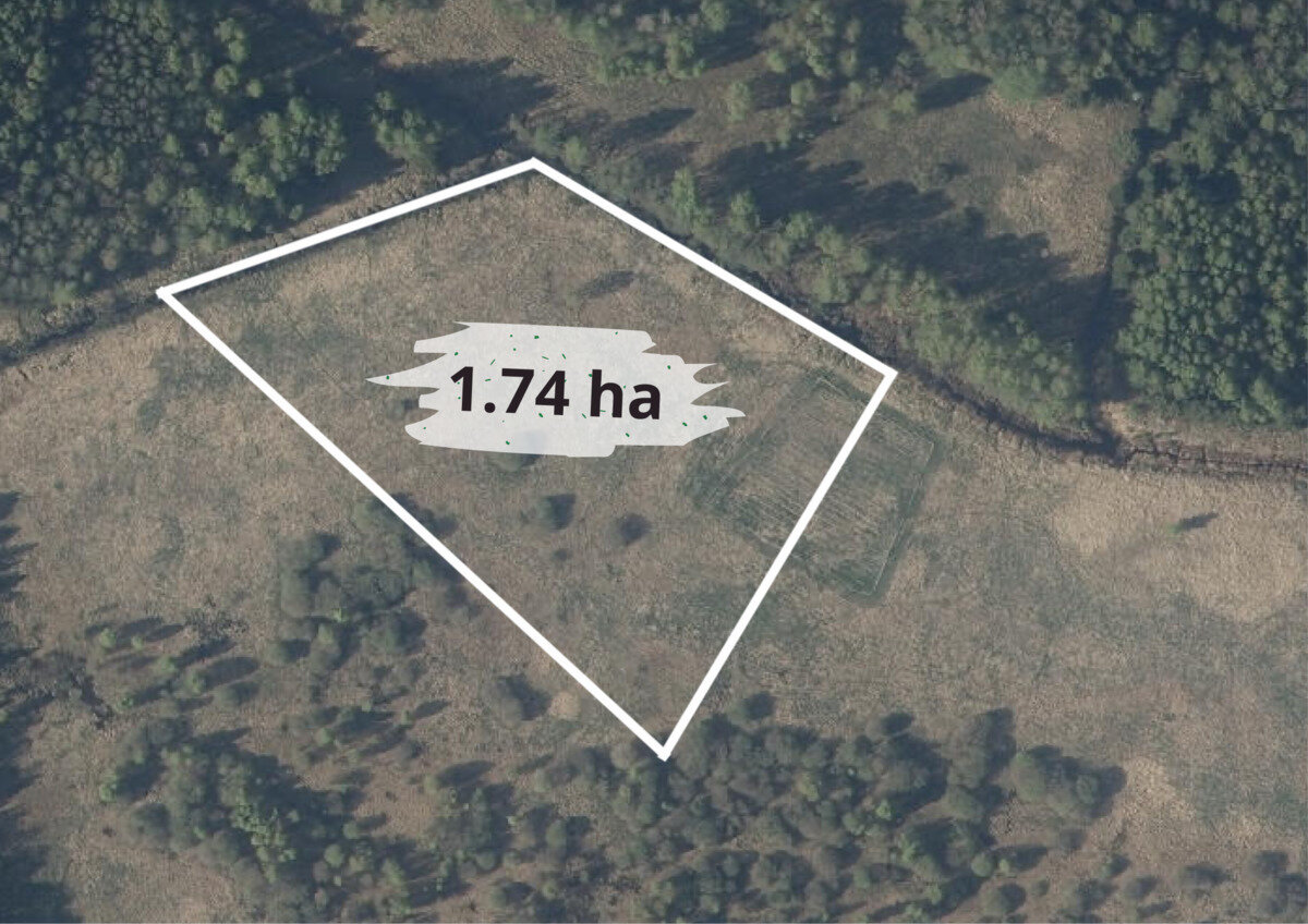 Sklypas Vilniaus rajono sav., Galinėje – nuotrauka 3