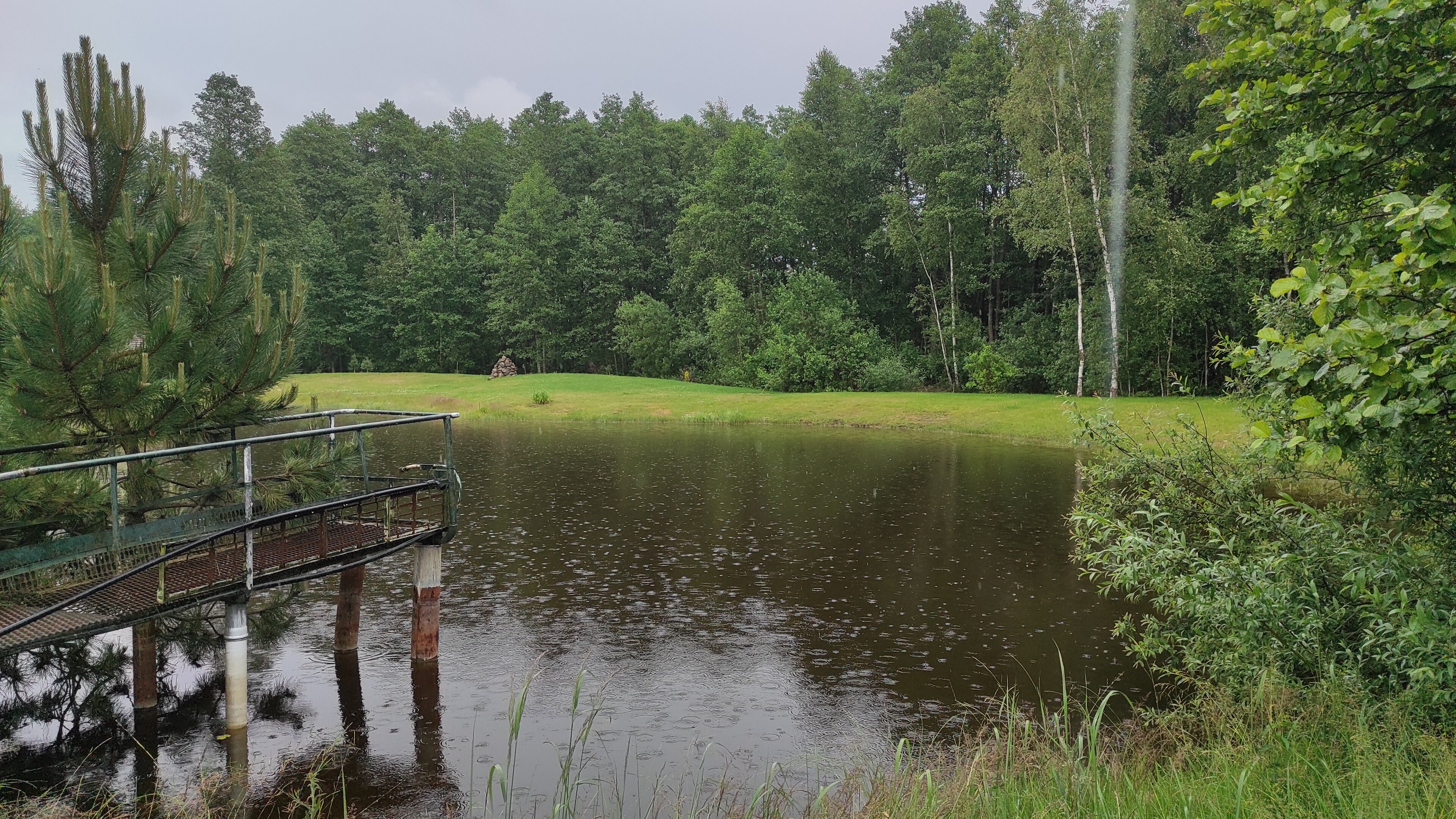 Sklypas Panevėžio rajono sav., Mitkuose, Vyšnių g. – nuotrauka 4