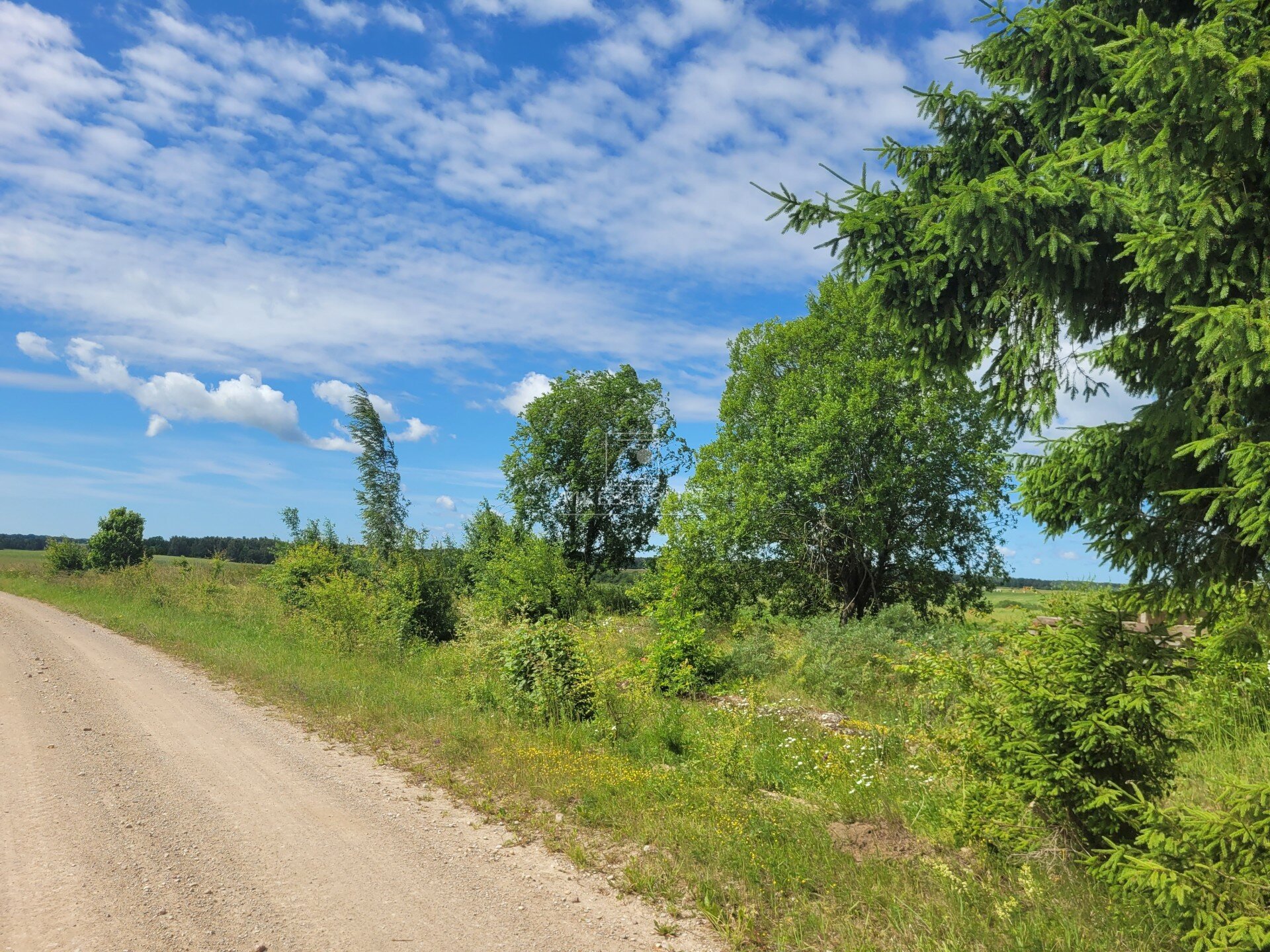Sklypas Kretingos rajono sav., Asteikiuose – nuotrauka 6