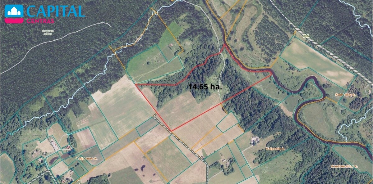 Sklypas Raseinių rajono sav., Godlaukyje – nuotrauka 4