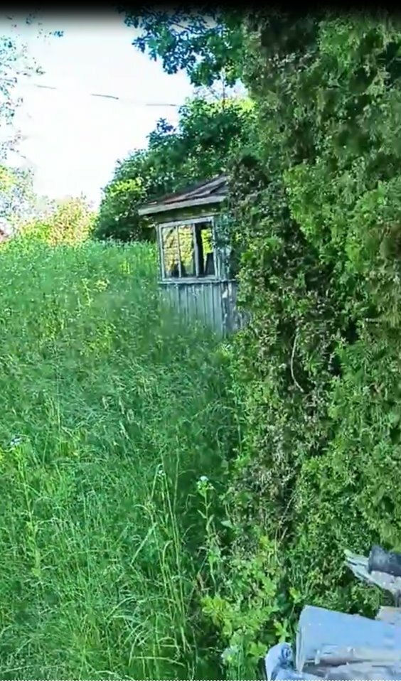 Sklypas Ukmergės rajono sav., Dukstynoje, Šilagėlių tak. – nuotrauka 3