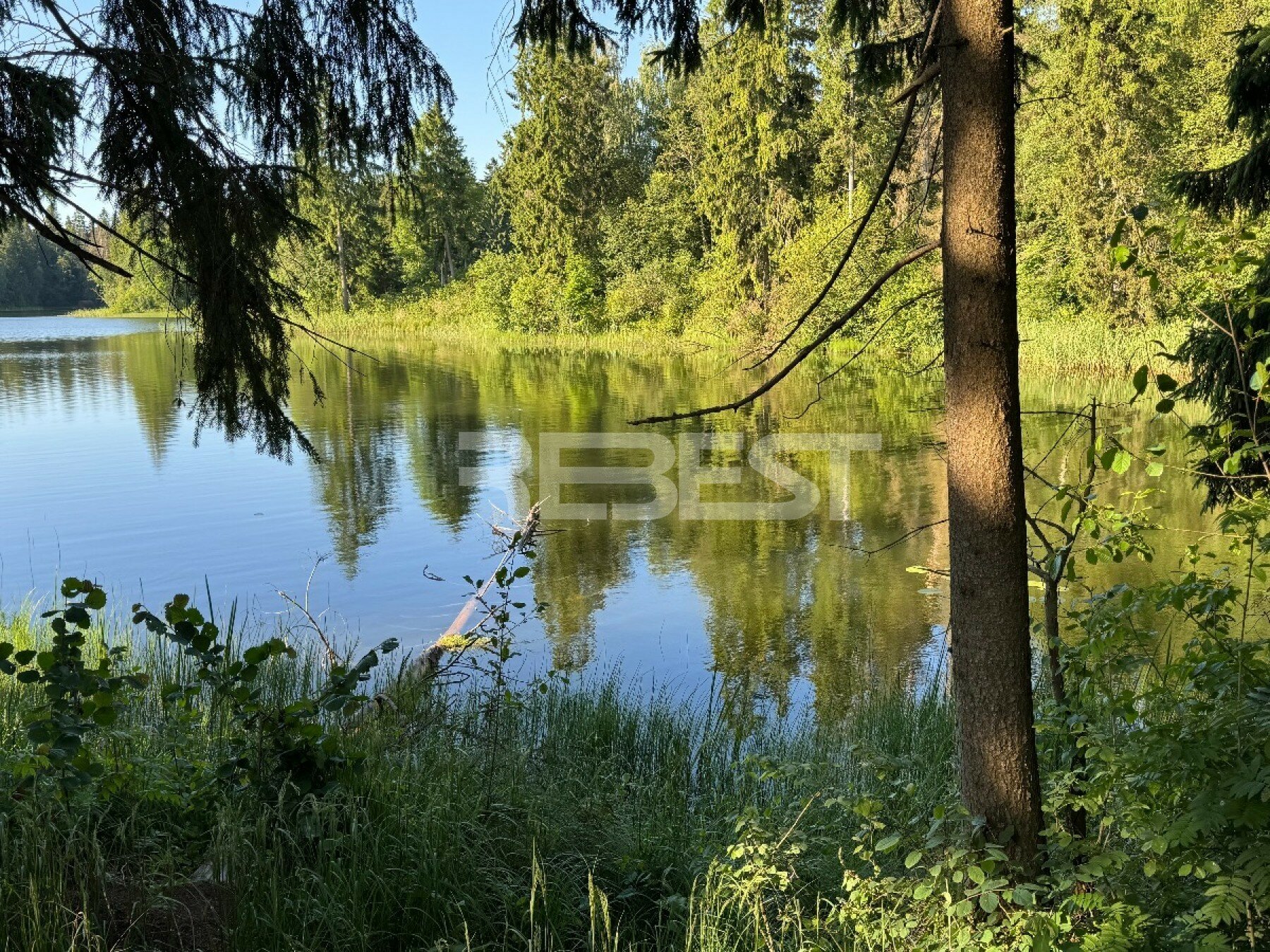Sklypas Šiaulių rajono sav., Jakštaičiukuose – nuotrauka 5