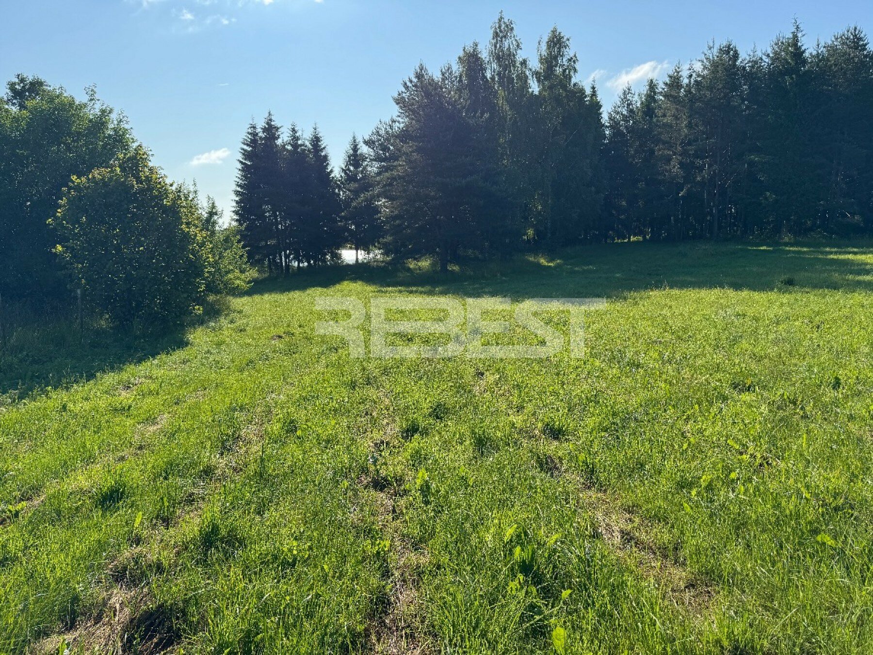 Sklypas Šiaulių rajono sav., Jakštaičiukuose – nuotrauka 6