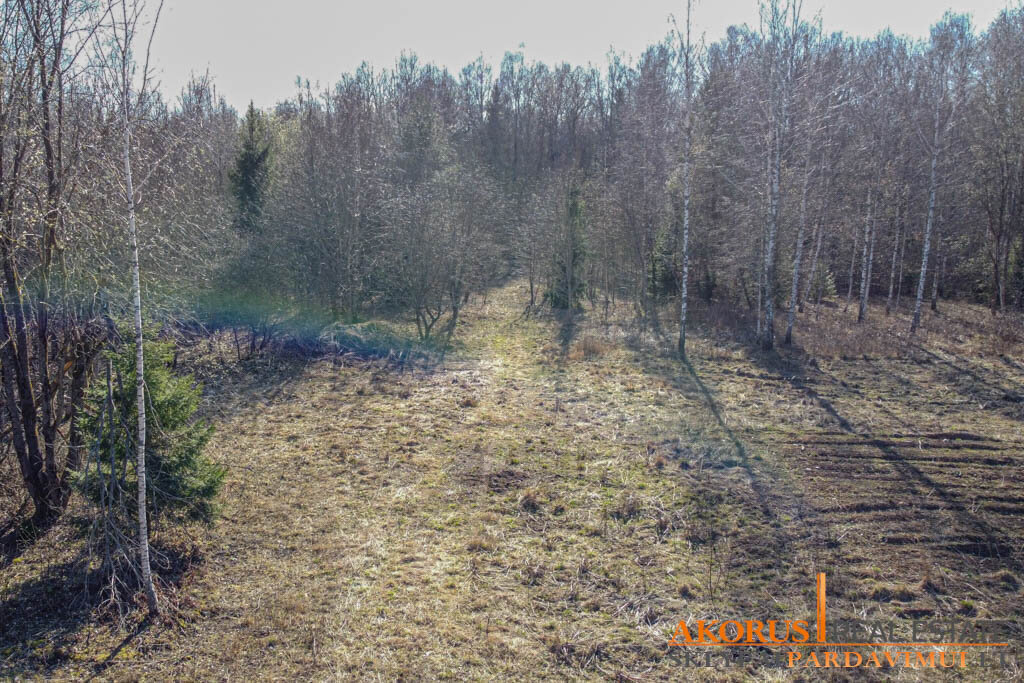 Sklypas Vilniaus rajono sav., Akmeniškėse, Baravykų 6-oji g. – nuotrauka 3