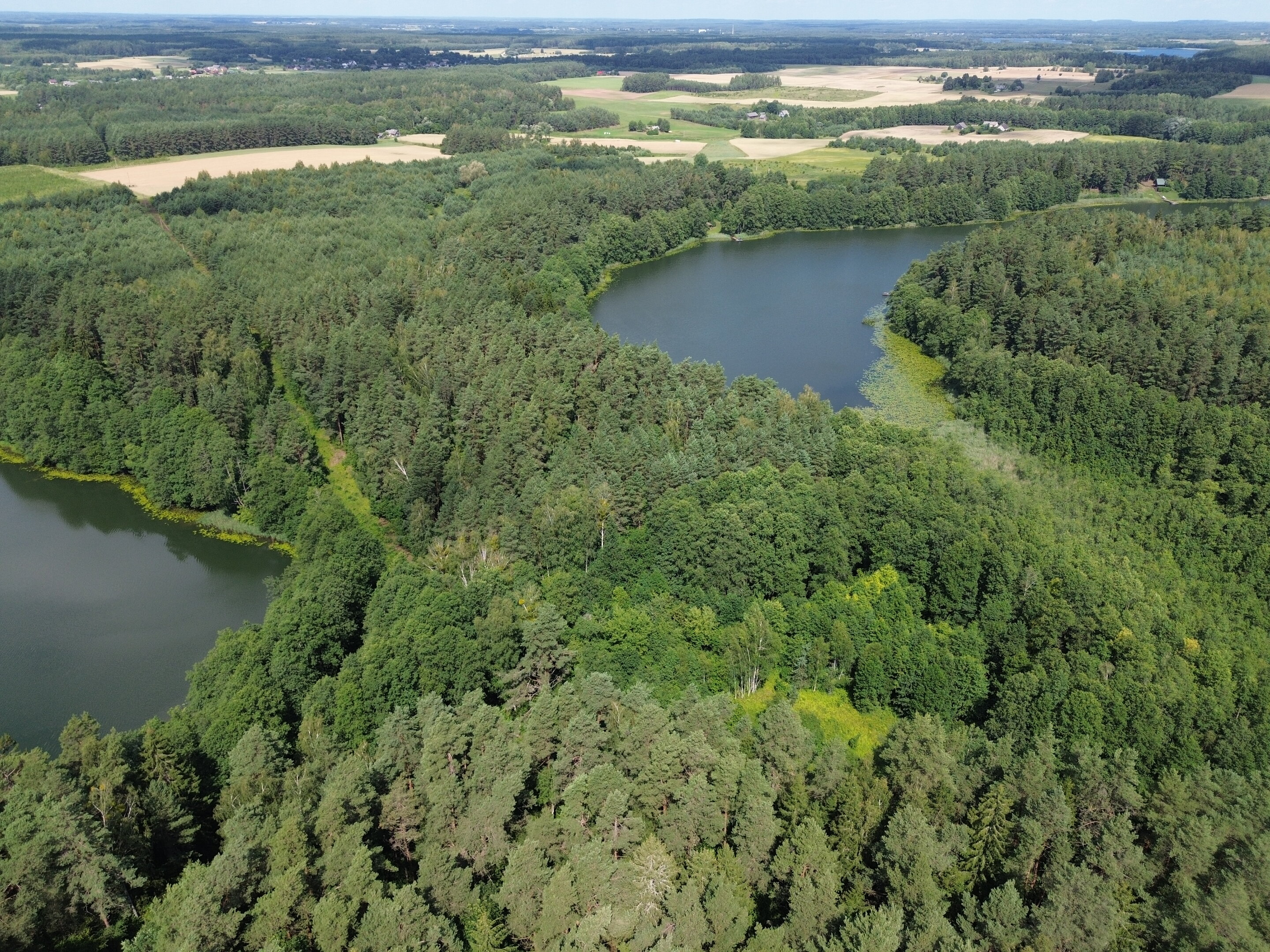 Sklypas Lazdijų rajono sav., Bertašiūnuose – nuotrauka 3
