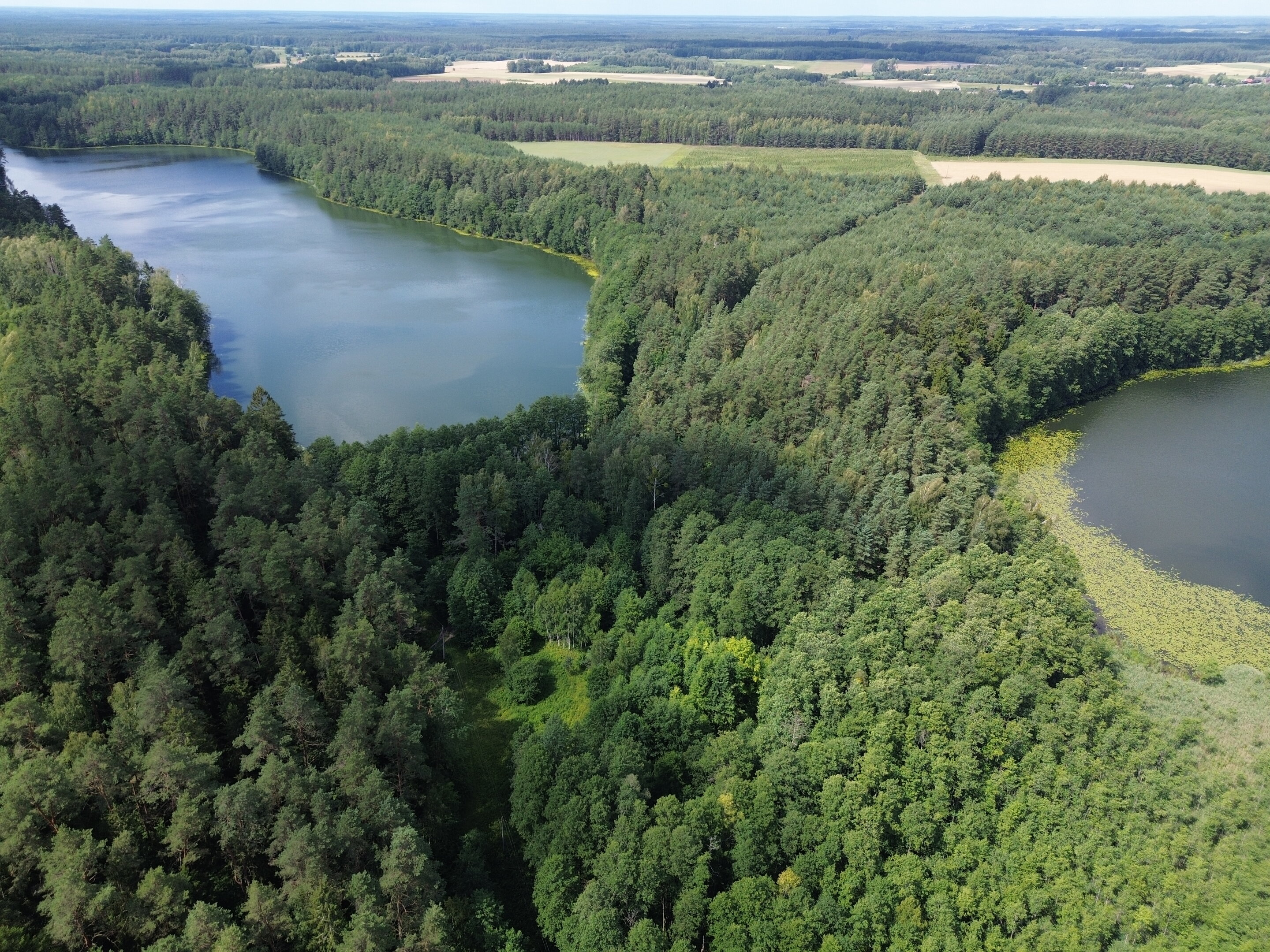 Sklypas Lazdijų rajono sav., Bertašiūnuose – nuotrauka 4