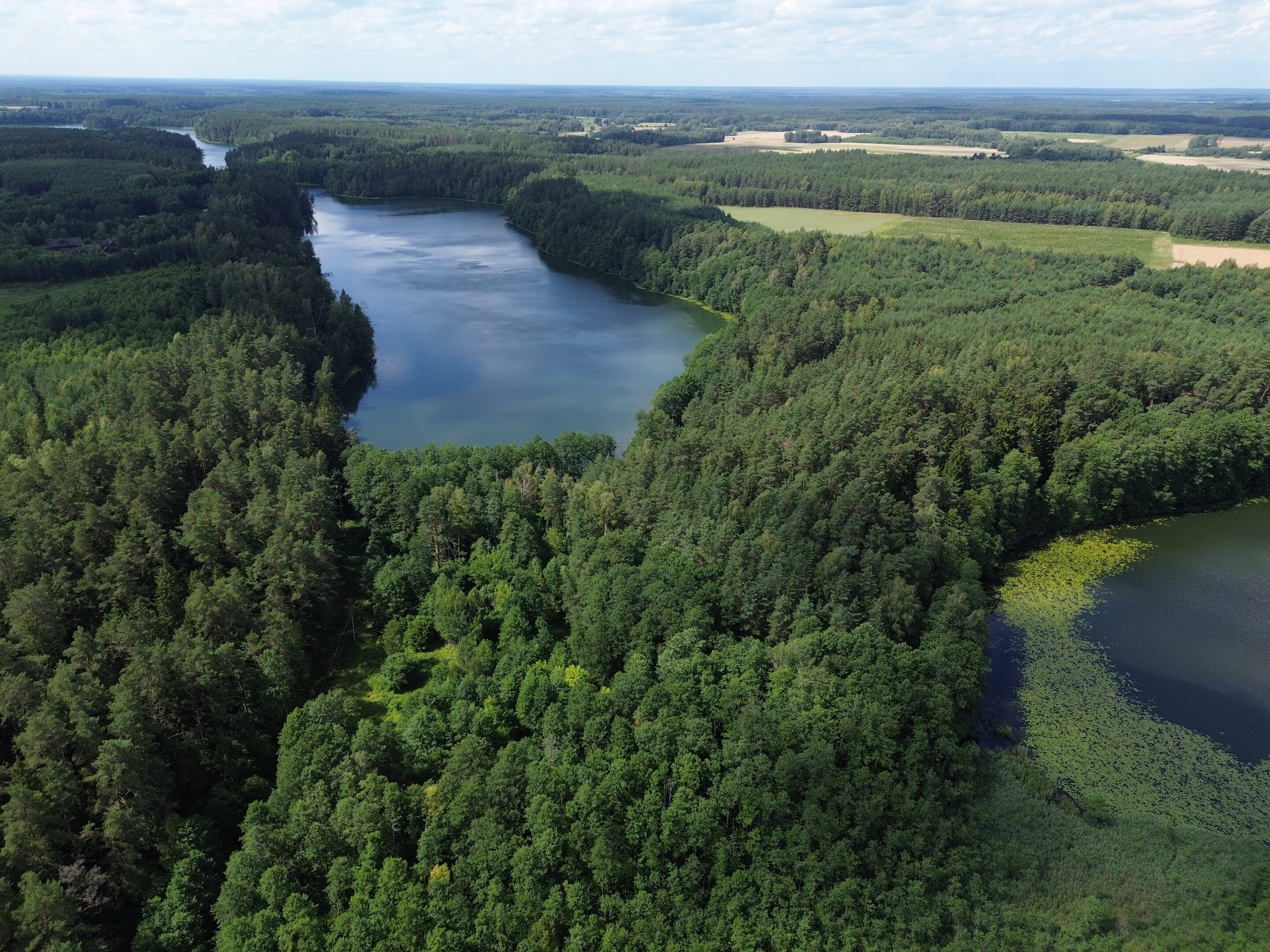 Sklypas Lazdijų rajono sav., Bertašiūnuose – nuotrauka 5