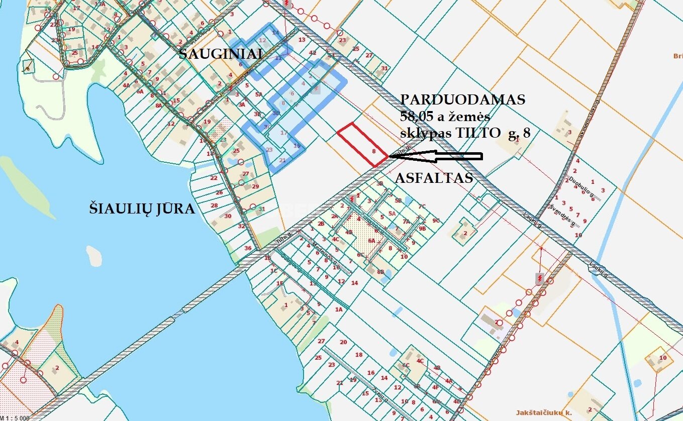 Land Šiaulių rajono sav., Sauginiuose – image 4