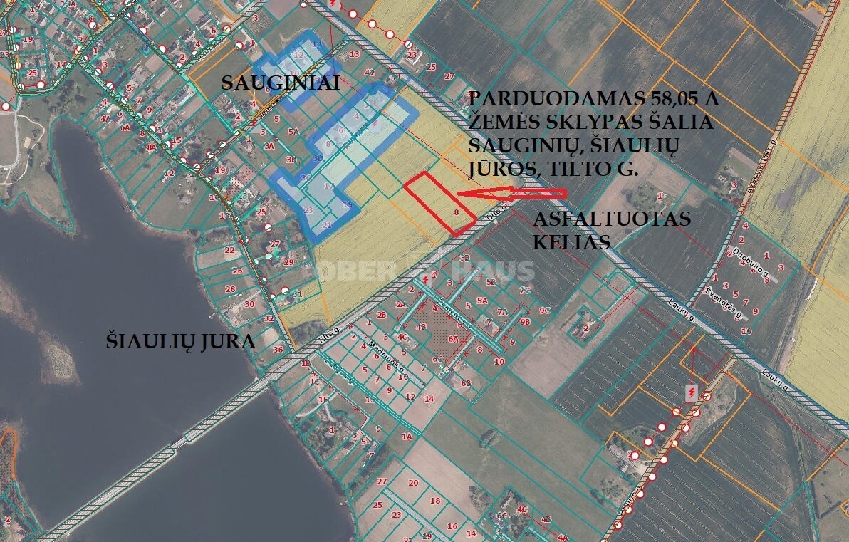 Land Šiaulių rajono sav., Sauginiuose – image 5