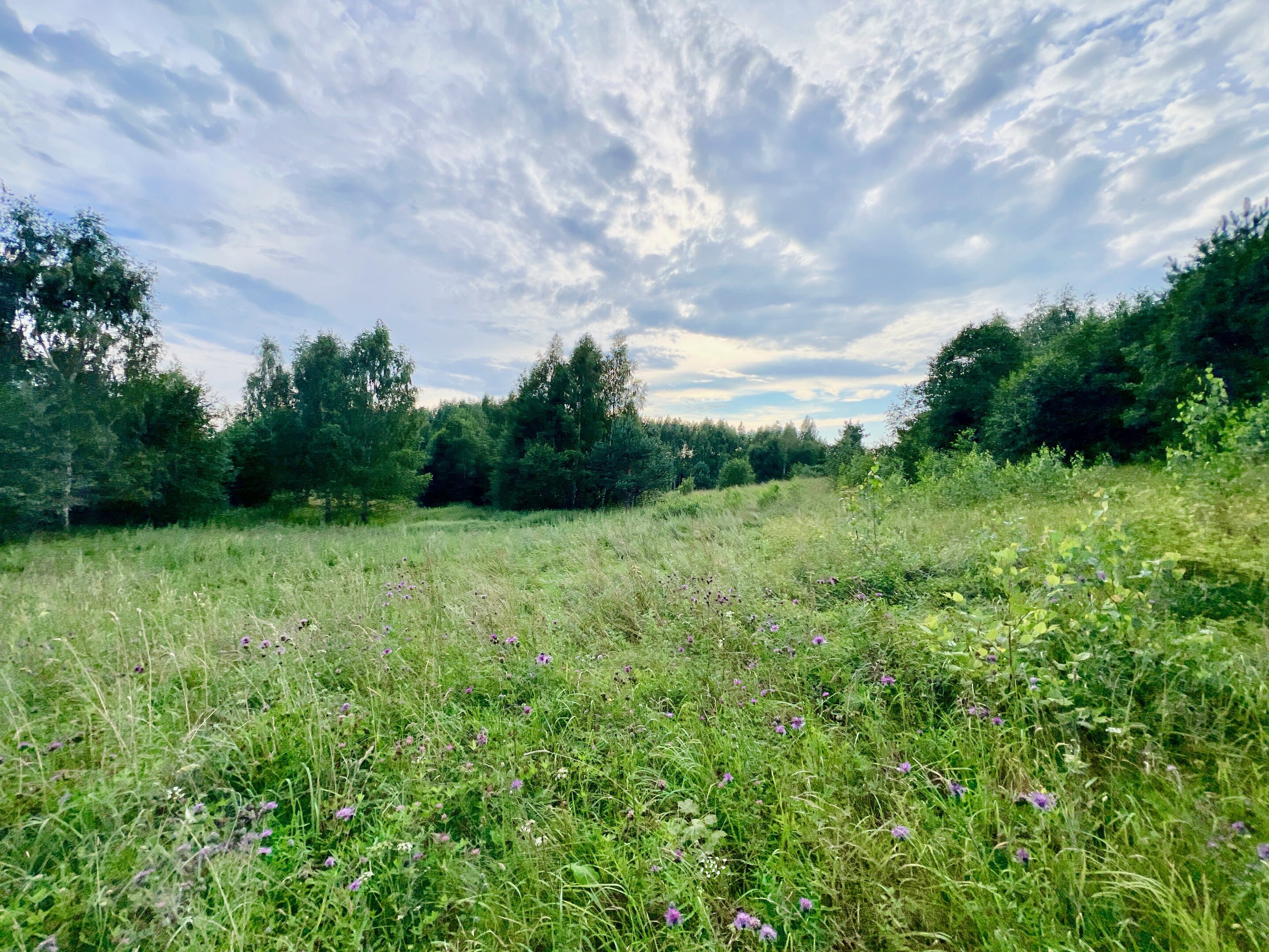 Sklypas Švenčionių rajono sav., Žąsinuose – nuotrauka 3