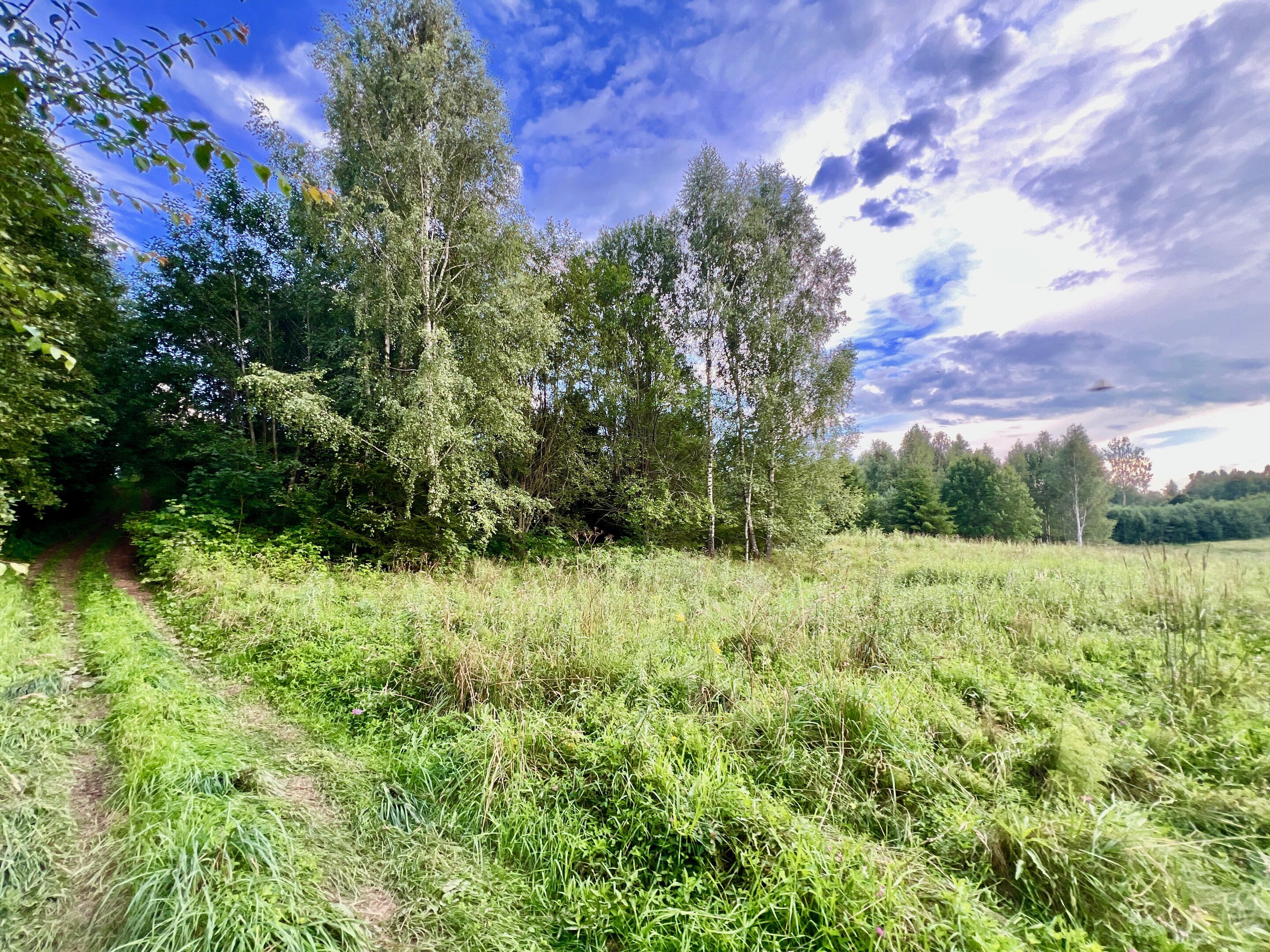 Sklypas Švenčionių rajono sav., Žąsinuose – nuotrauka 6