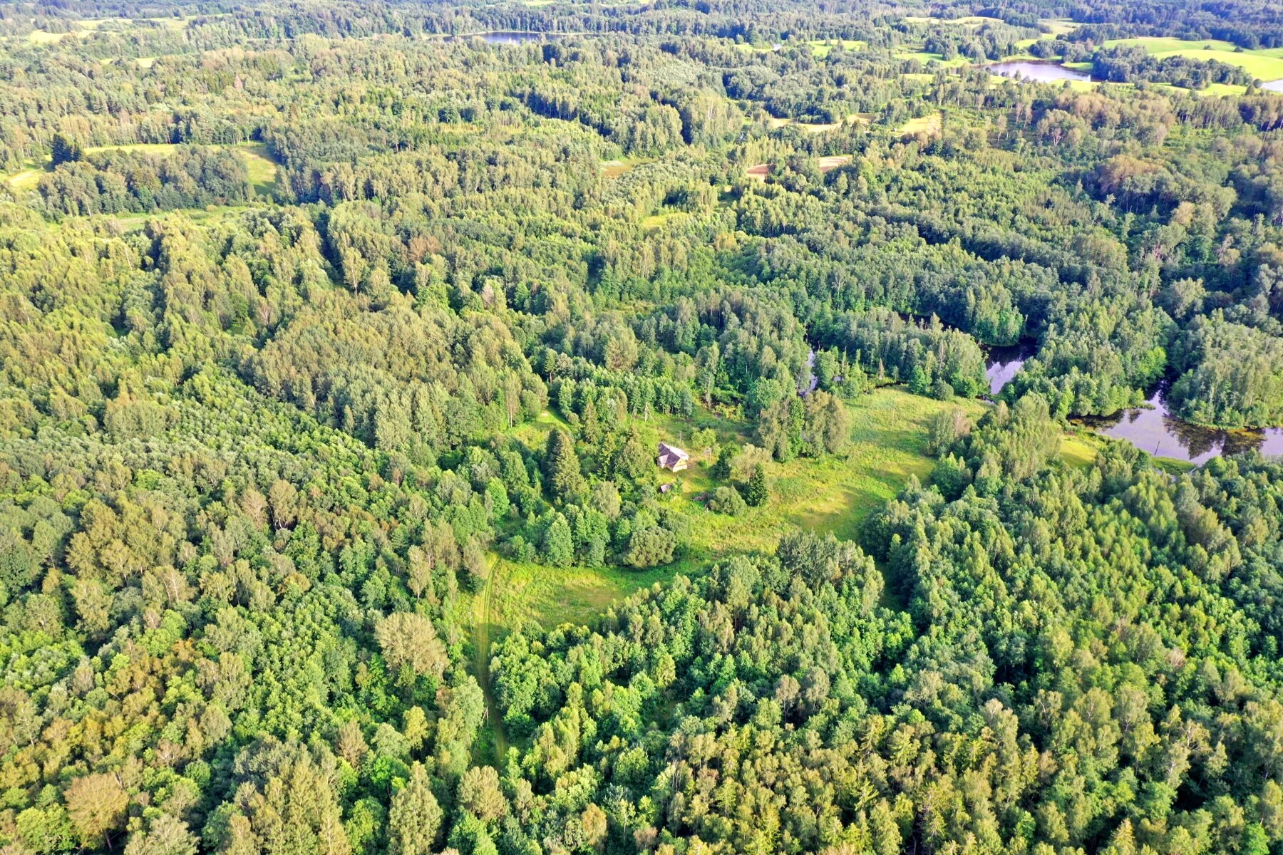 Sklypas Utenos rajono sav., Purviniškyje – nuotrauka 5