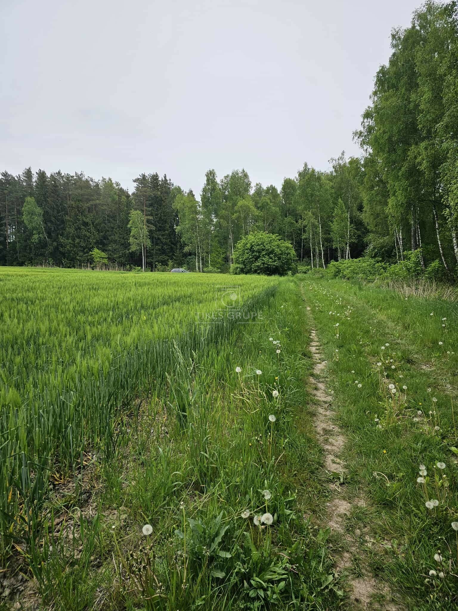 Участок Klaipėdos rajono sav., Šlapšilėje – изображение 3