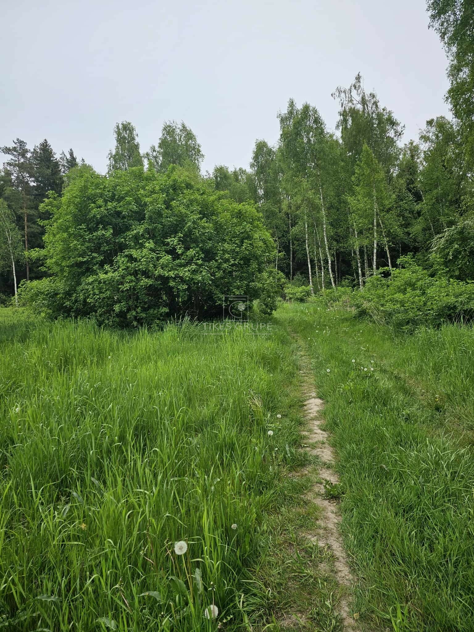 Участок Klaipėdos rajono sav., Šlapšilėje – изображение 5