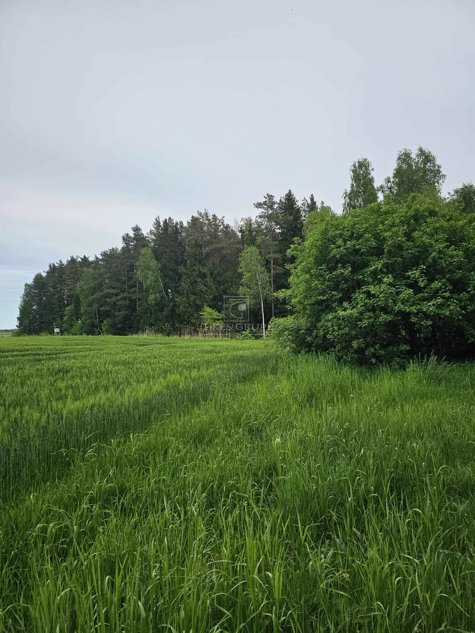 Участок Klaipėdos rajono sav., Šlapšilėje – изображение 6