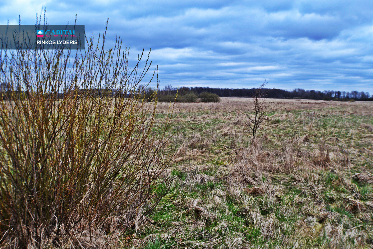 Sklypas Širvintų rajono sav., Barskūnuose – nuotrauka 5