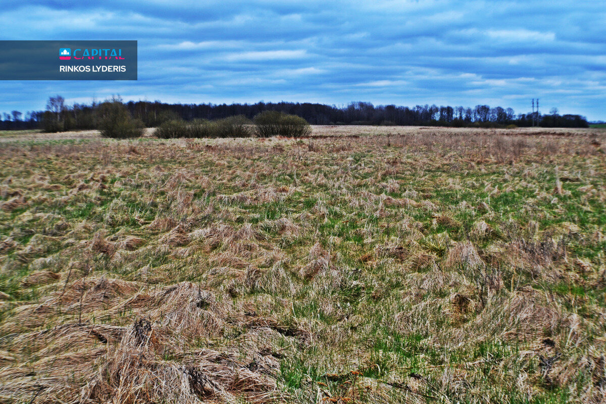 Sklypas Širvintų rajono sav., Barskūnuose – nuotrauka 6