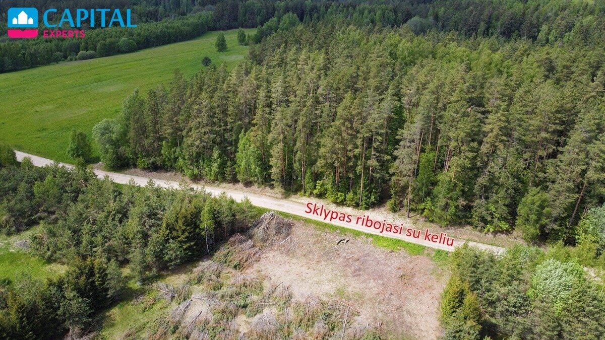 Sklypas Zarasų rajono sav., Savičiūnuose – nuotrauka 4