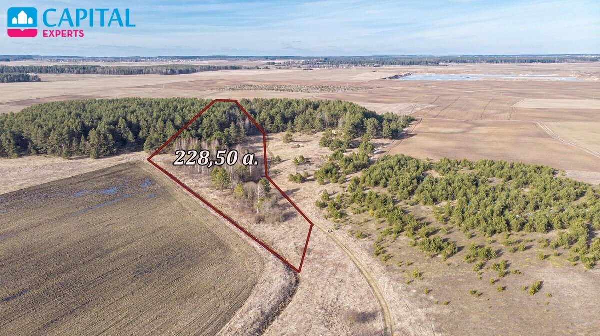 Sklypas Trakų rajono sav., Senasis Tarpupis – nuotrauka 3
