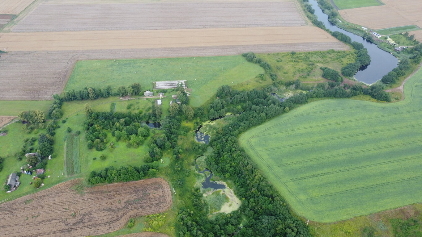 Sklypas Kėdainių r. sav., Vainikuose – nuotrauka 3