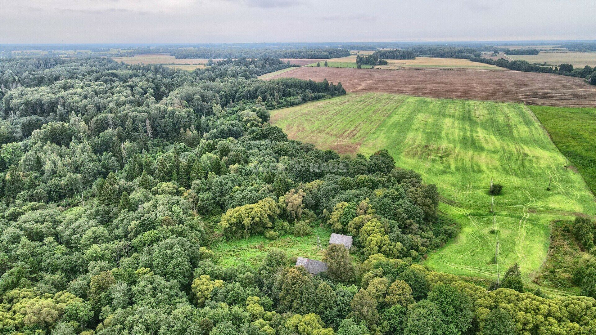 Sklypas Raseinių rajono sav., Šilininkuose – nuotrauka 4