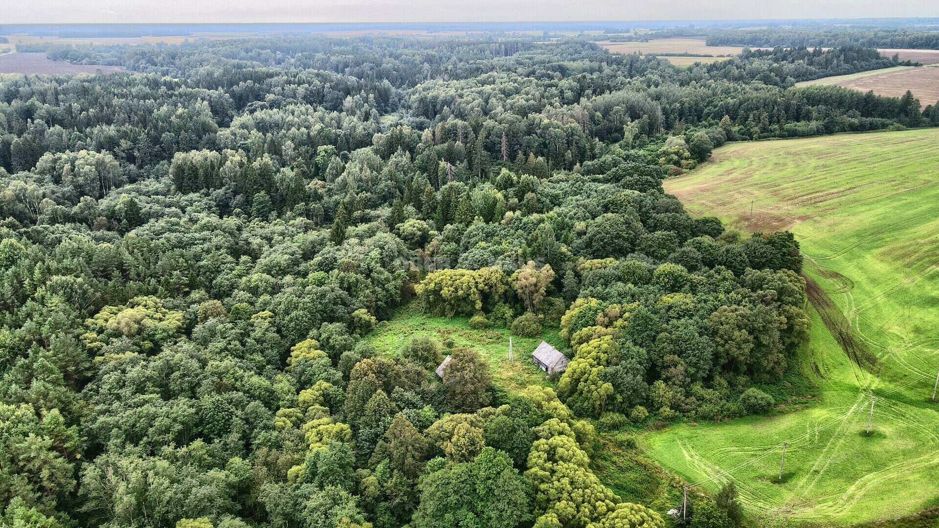 Sklypas Raseinių rajono sav., Šilininkuose – nuotrauka 5