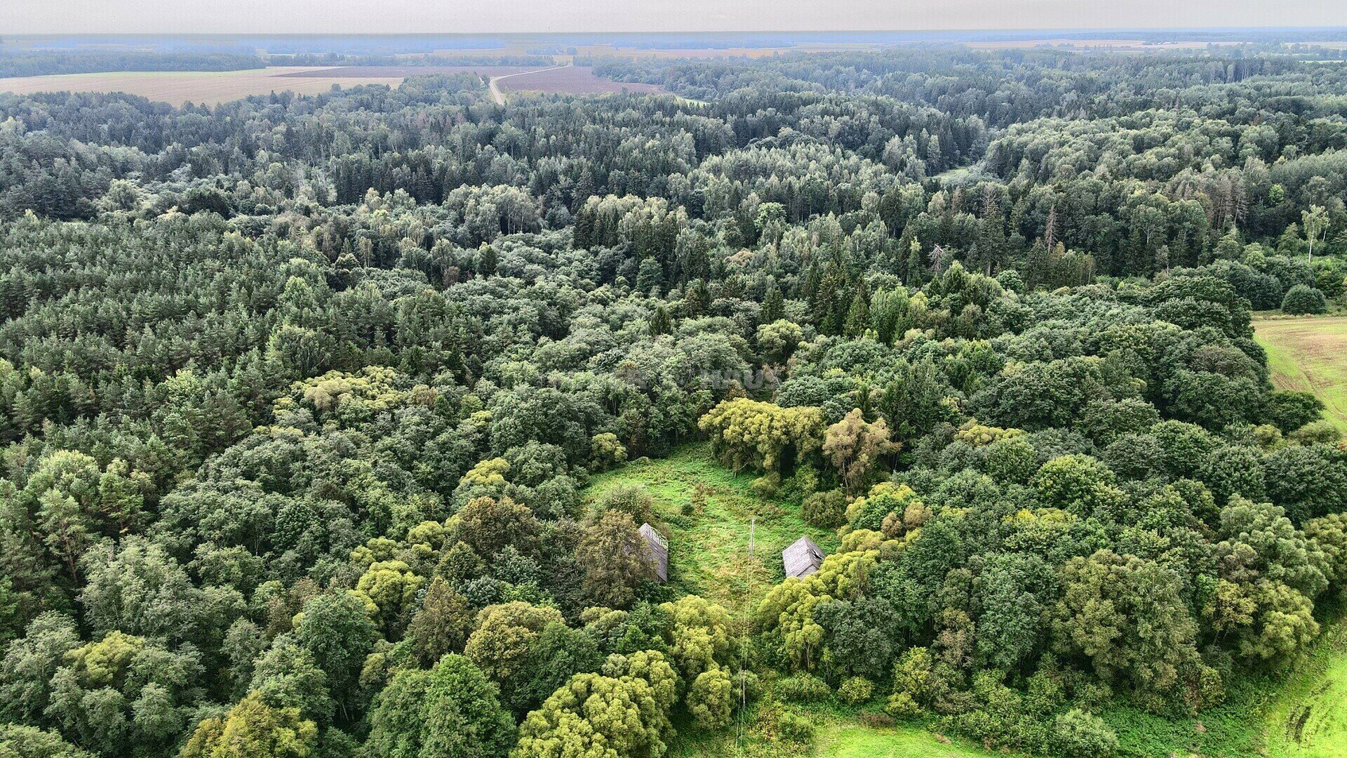 Sklypas Raseinių rajono sav., Šilininkuose – nuotrauka 6