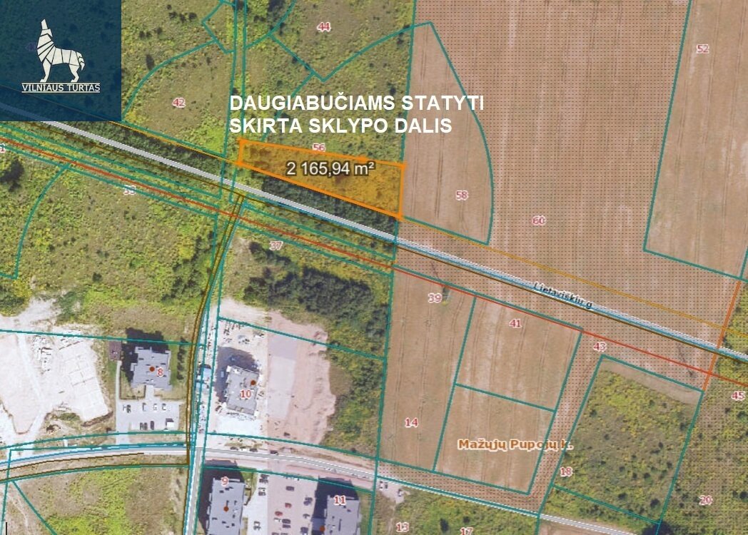 Участок Vilniuje, Antakalnyje, Lietaviškių g. – изображение 3