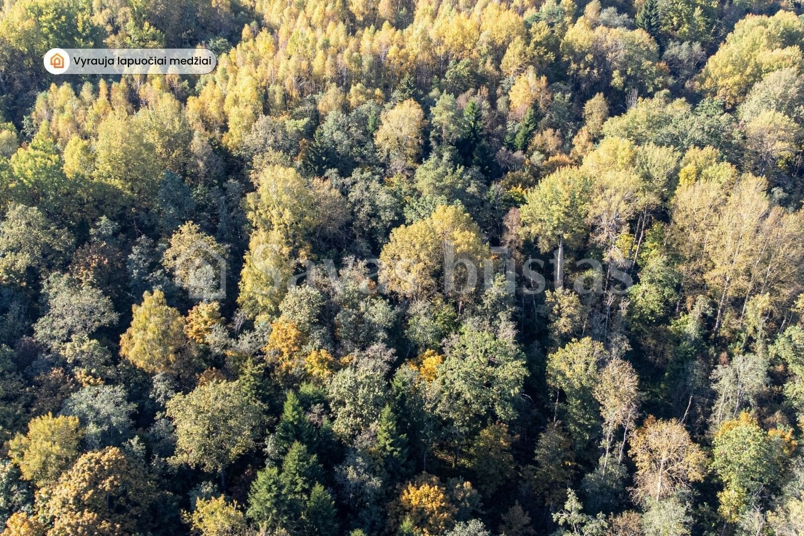 Sklypas Vilniaus rajono sav., Šluiniškėse – nuotrauka 5