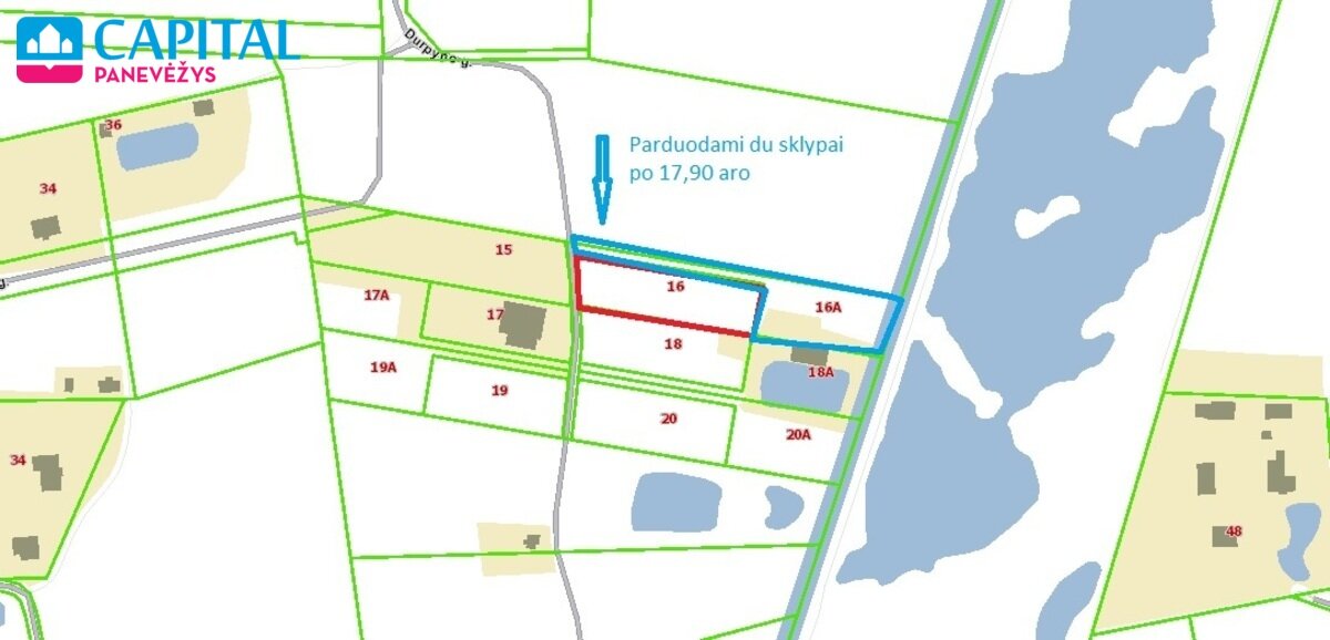 Sklypas Panevėžio rajono sav., Paežerys I – nuotrauka 4