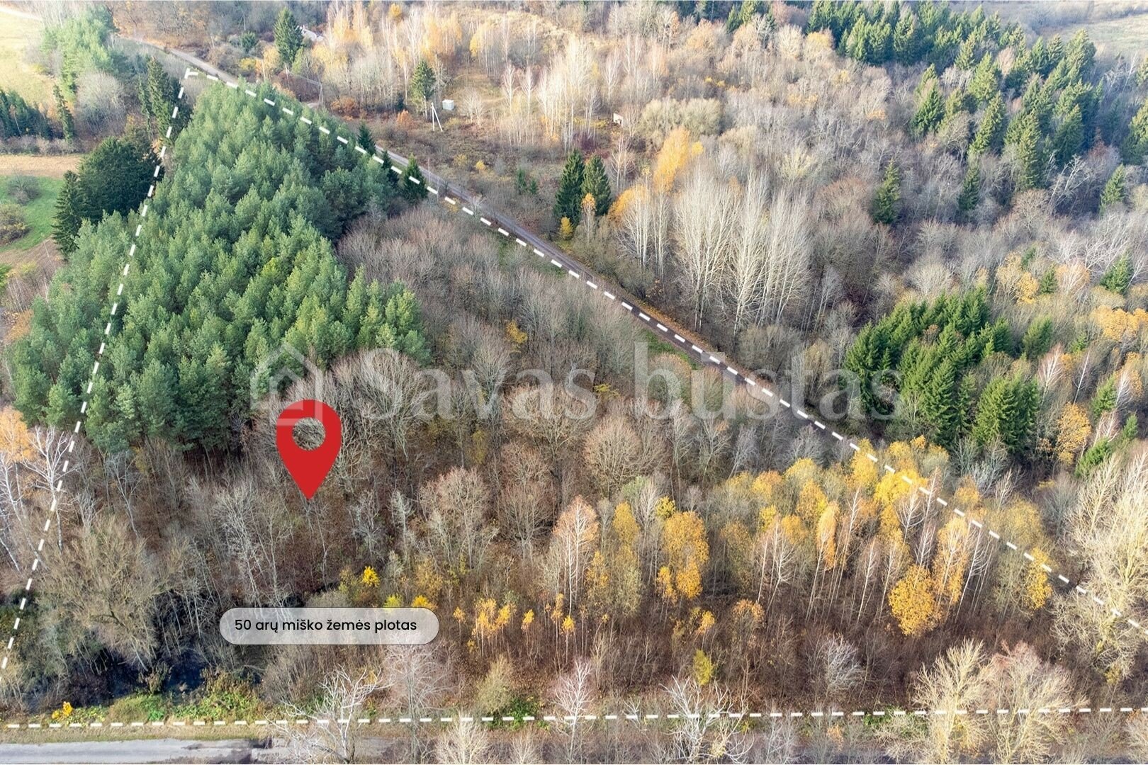 Sklypas Kaišiadorių rajono sav., Tadaravoje – nuotrauka 4