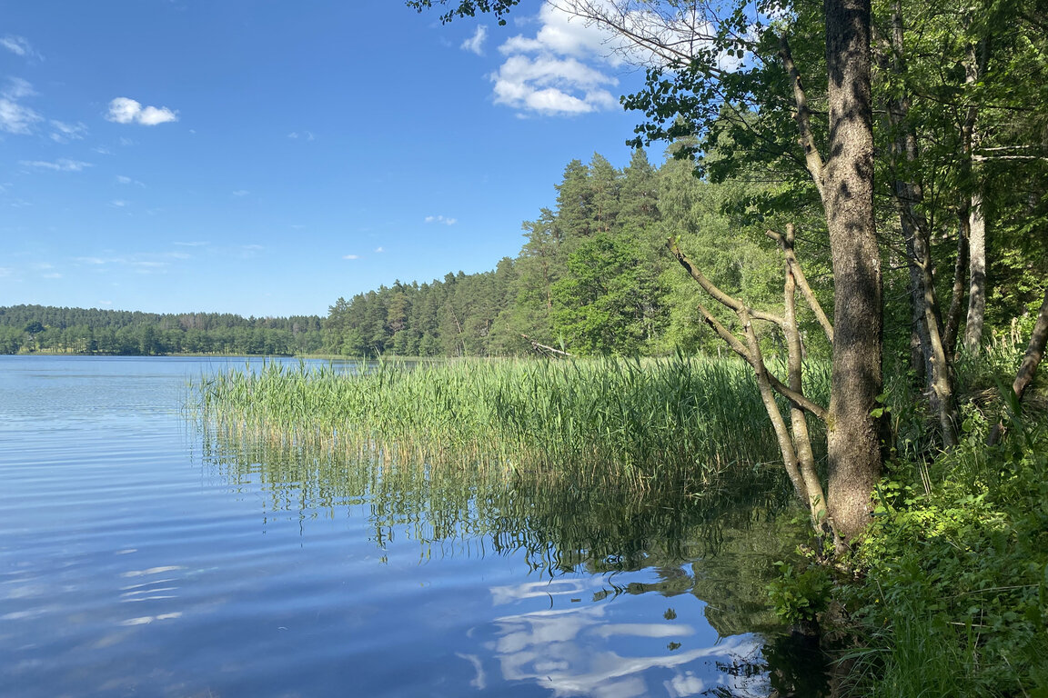 Sklypas Trakų rajono sav., Lausgeniuose – nuotrauka 5