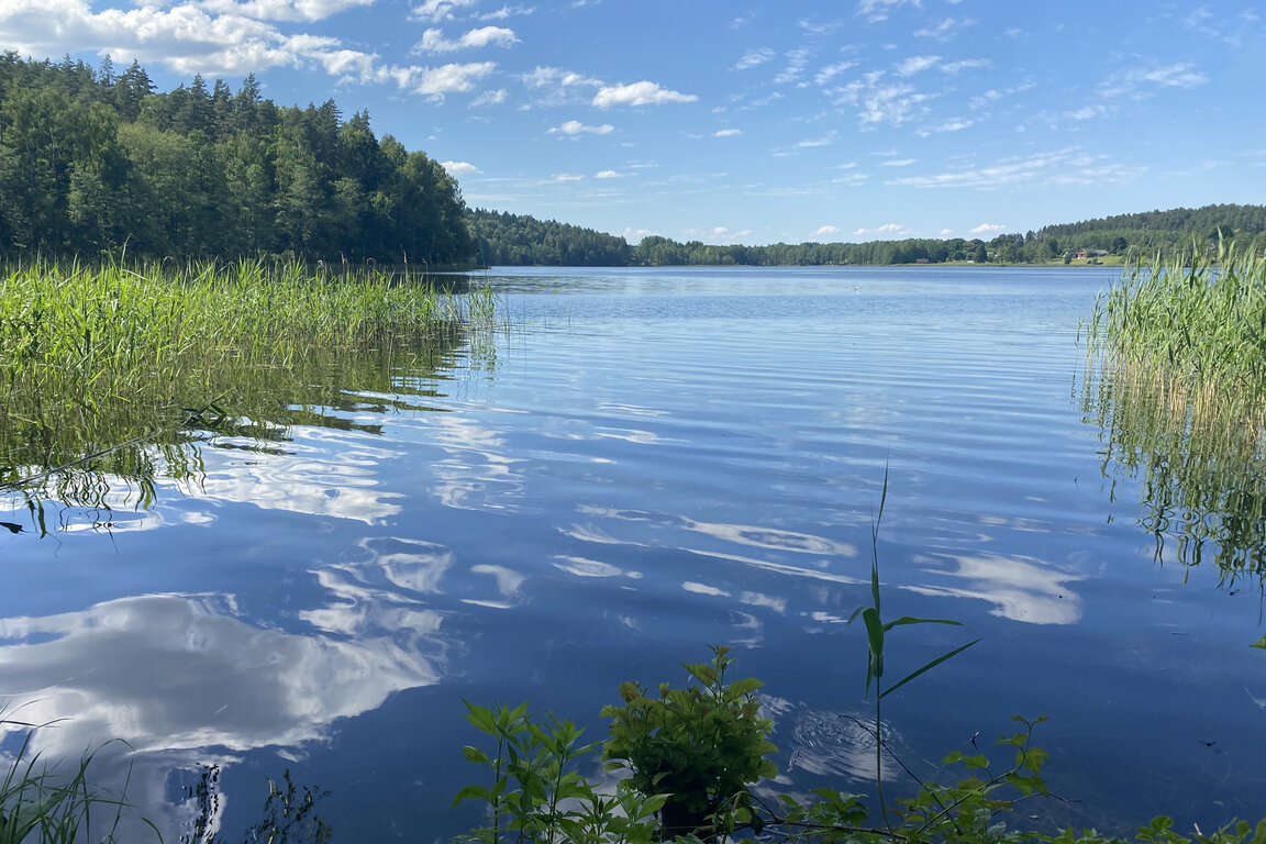 Sklypas Trakų rajono sav., Lausgeniuose – nuotrauka 6