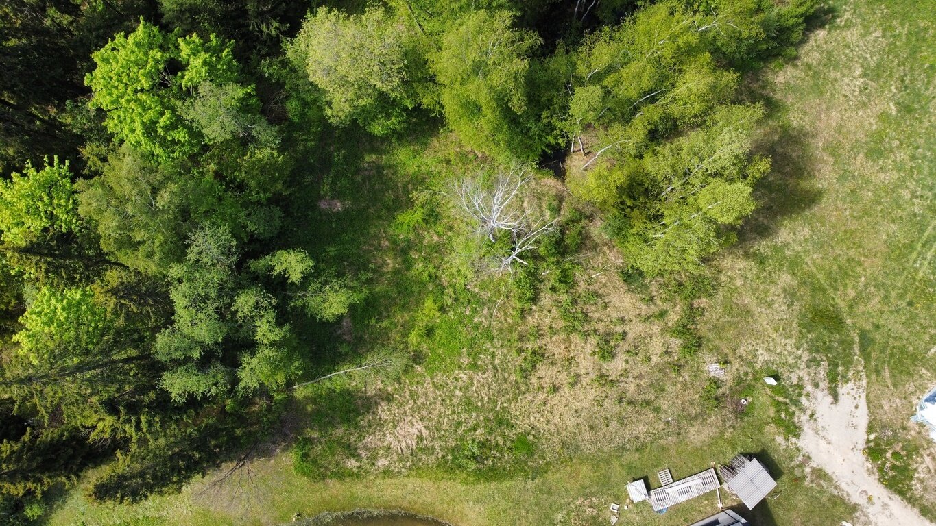Sklypas Utenos rajono sav., Utenoje, Miškininkų g. – nuotrauka 6