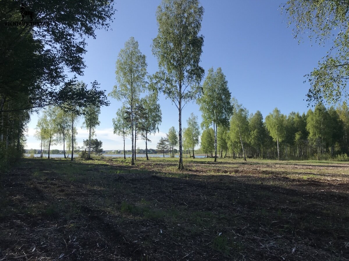 Sklypas Vilniaus rajono sav., Gudeliuose – nuotrauka 5
