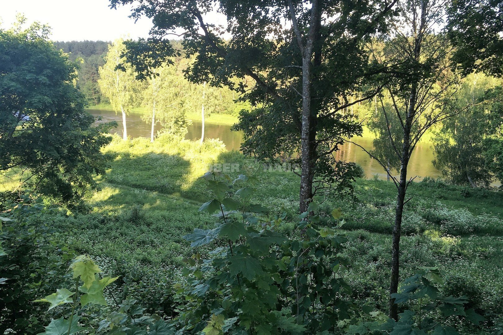 Land Vilniaus rajono sav., Joneikiškėse, Europos Parko g. – image 5