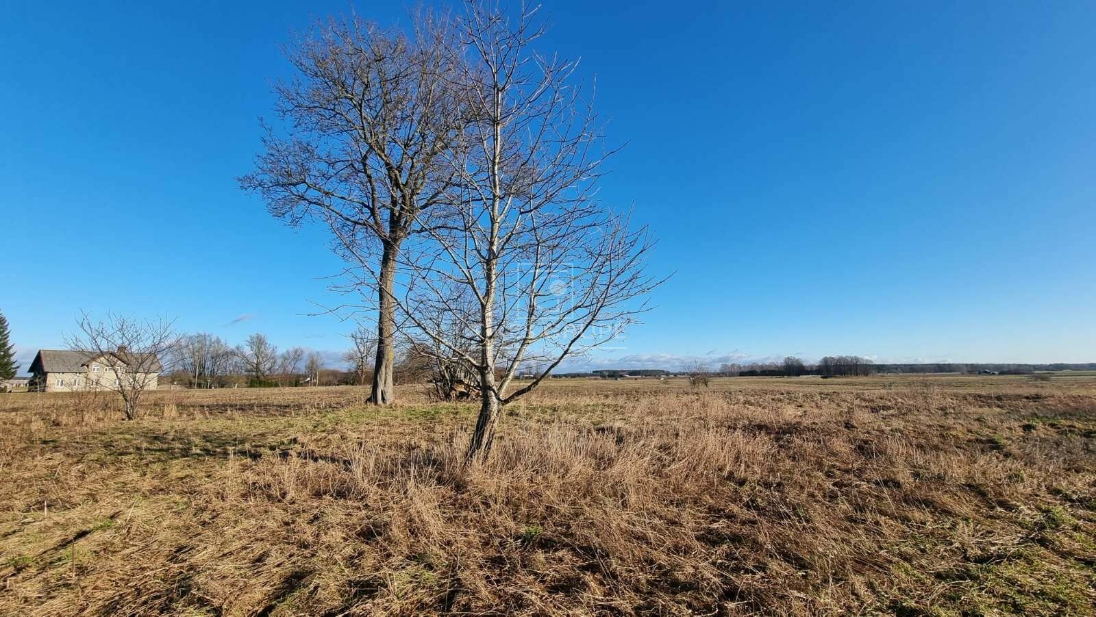 Sklypas Šilutės rajono sav., Sakūtėliuose – nuotrauka 6